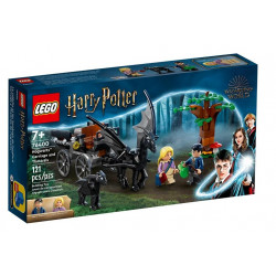 Lego HARRY POTTER Testrale i kareta z Hogwartu